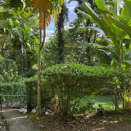 Colina Secreta - Glamping And Villas Puerto Viejo de Talamanca Екстер'єр фото