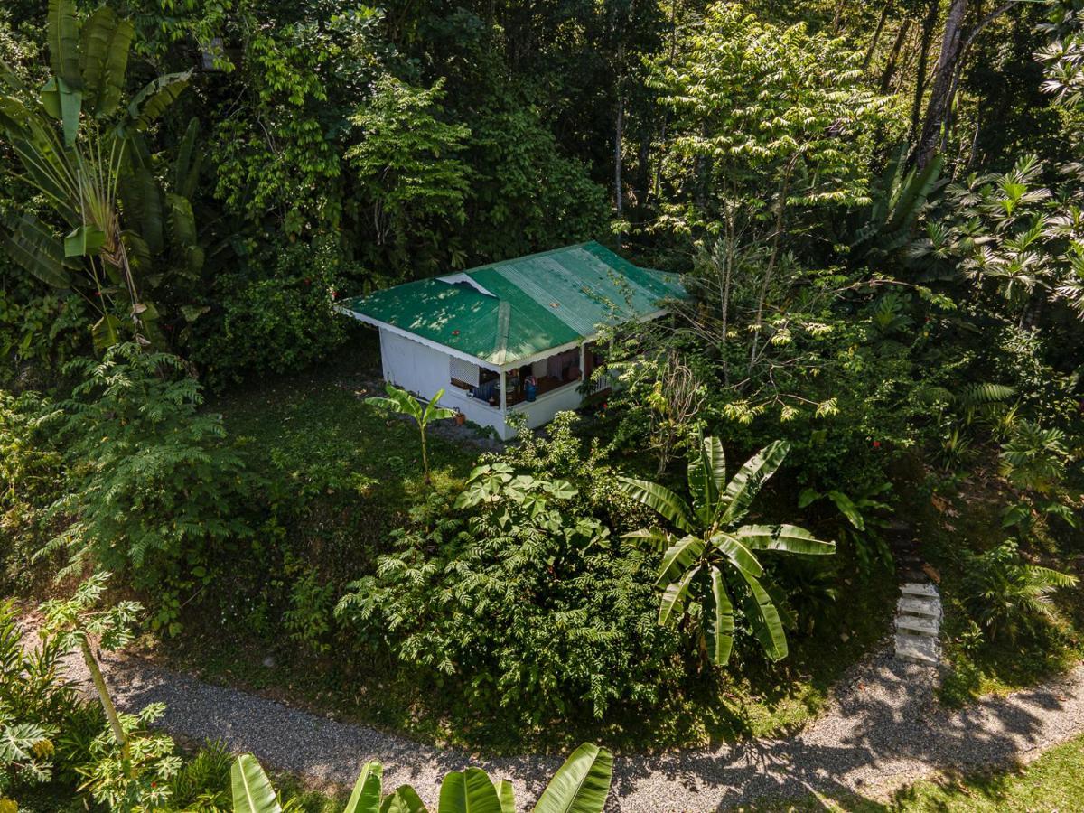 Colina Secreta - Glamping And Villas Puerto Viejo de Talamanca Екстер'єр фото