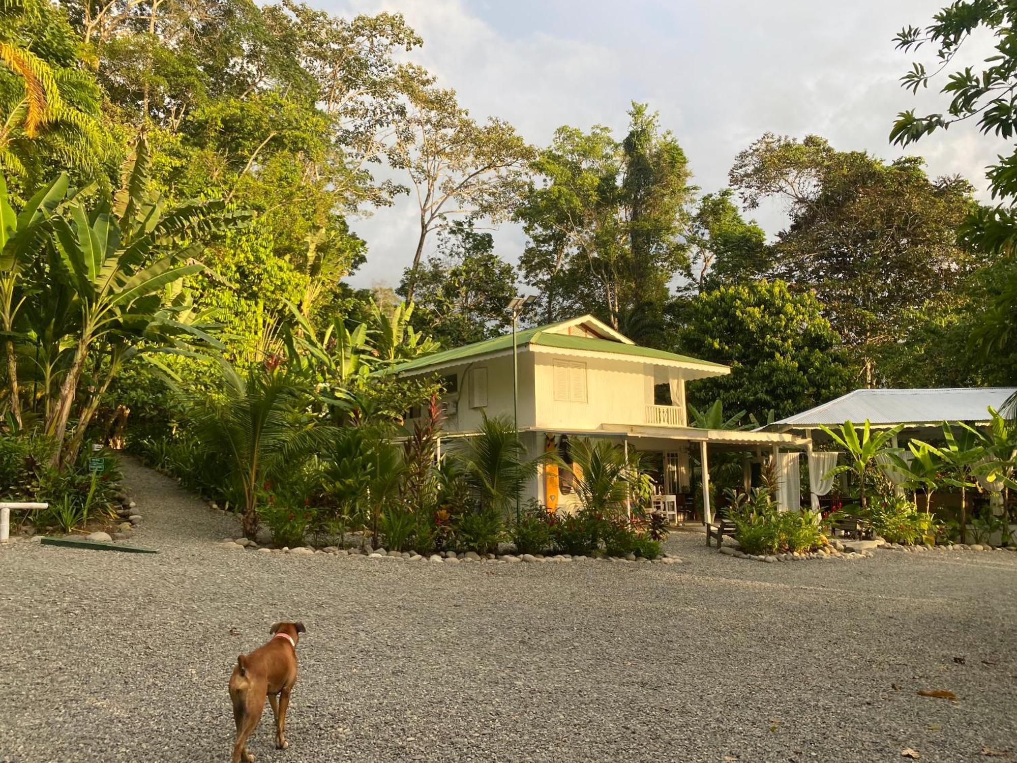 Colina Secreta - Glamping And Villas Puerto Viejo de Talamanca Екстер'єр фото