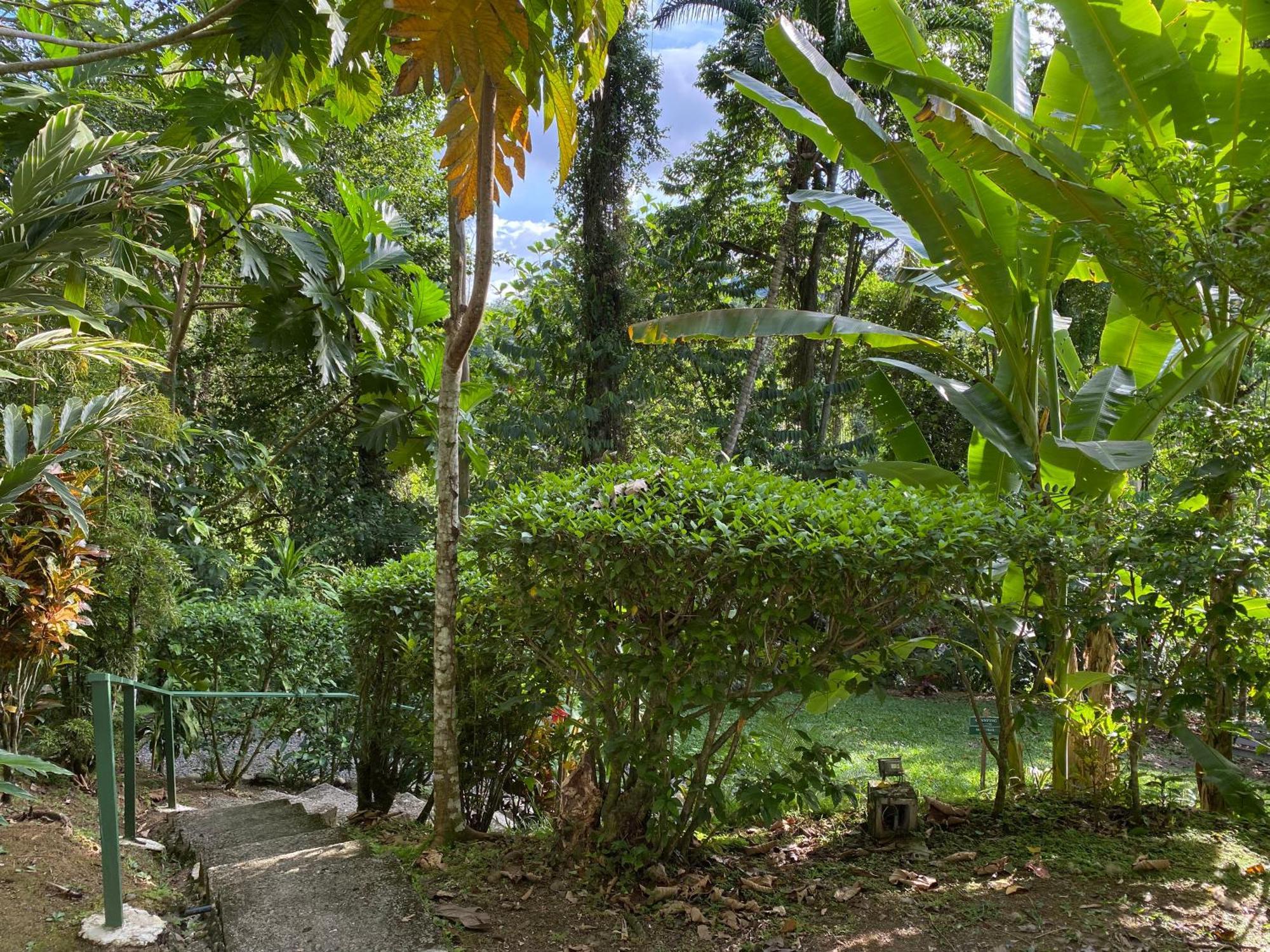 Colina Secreta - Glamping And Villas Puerto Viejo de Talamanca Екстер'єр фото